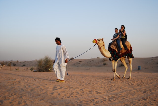 camel riding